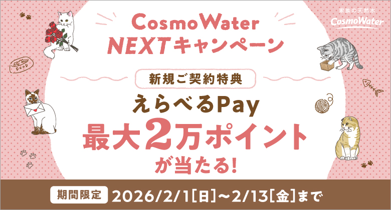 最大2万ポイントのえらべるPay（デジタルギフト）
