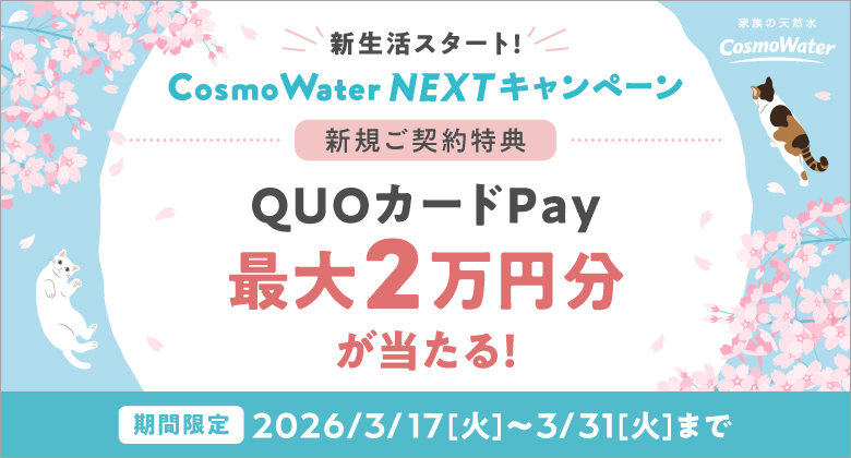 最大2万円分のQUOカードPay(デジタルギフト)